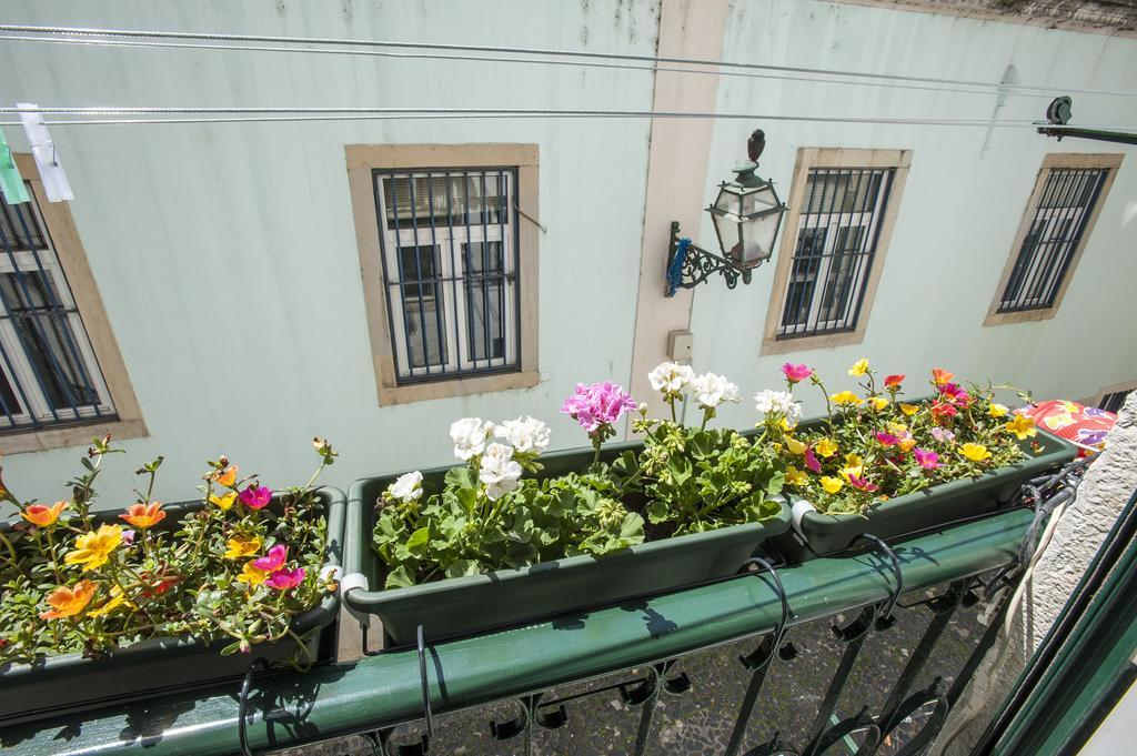 Stay Local In Alfama! Alice Central Home, Near River Lisboa Exteriör bild